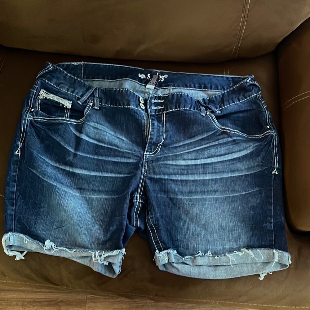 Denim Shorts; Size 24; Never Worn; Short & Sexy Series 31